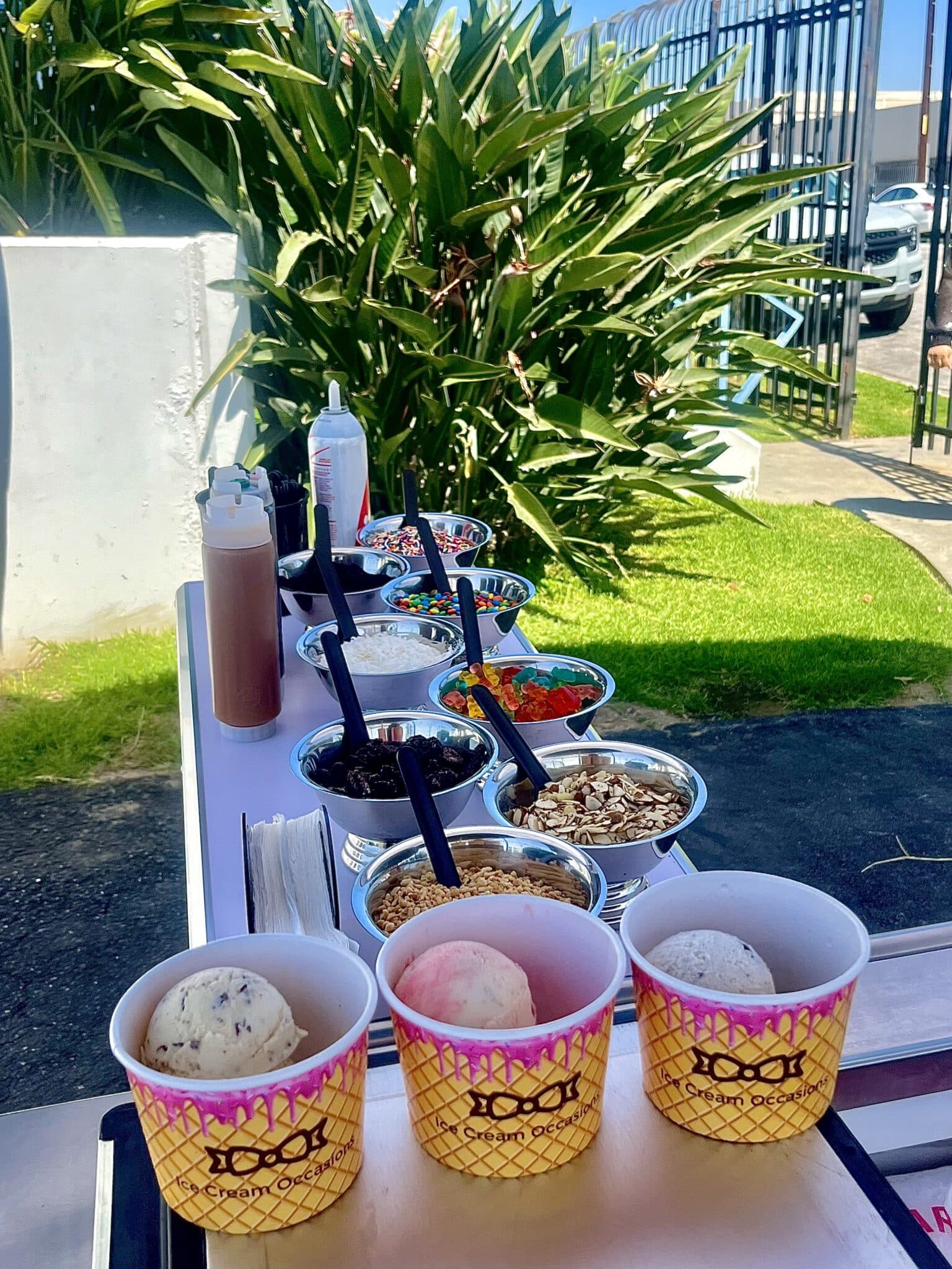 Book Your Ice Cream Cart in Los Angeles for Any Occasion