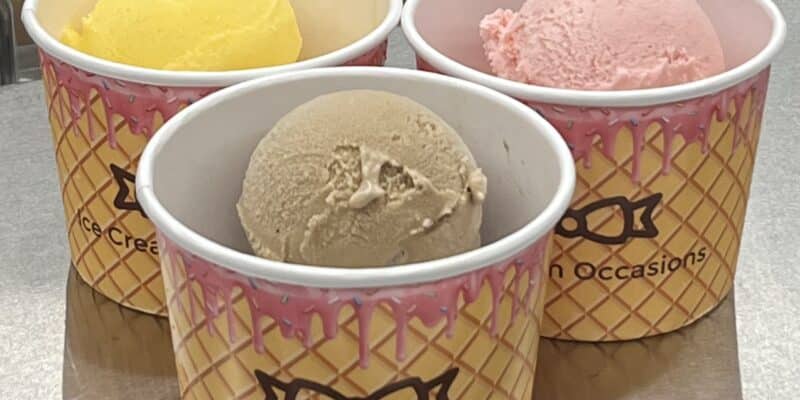 Book the Best Ice Cream Catering Services in Woodland Hills